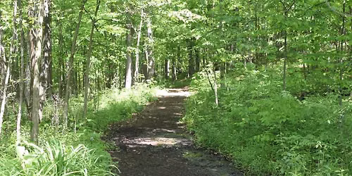 Multi day walk