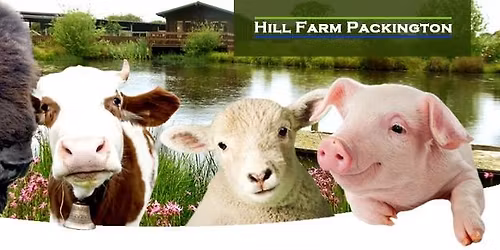 Quiet mornings with Santa 