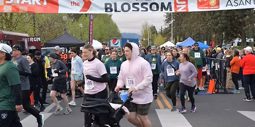 50th Anniversary Pear Blossom Run - 10 Mile, 5k and Mayor's Cup 1 & 2 Mile Fun Run