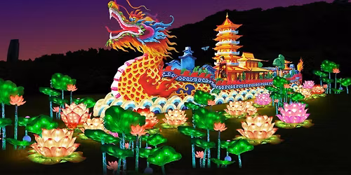 Uitstap naar de zoo van Antwerpen met gidsbeurt achter de schermen en het Lichtfestival