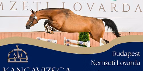 MSLT Kancavizsga 2026