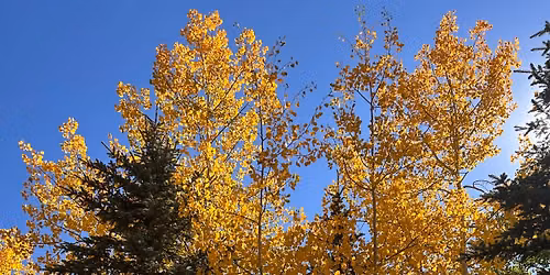 Chasing Fall at Rainbow Gulch 
