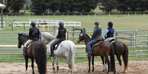 Cattle Training with Barry Owens