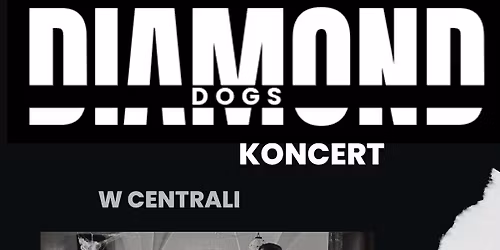 Koncert: Diamond Dogs + Strangers
