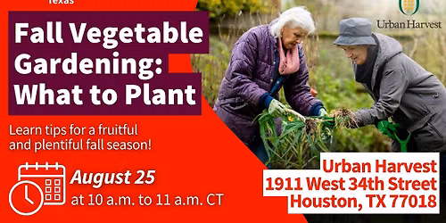 Fall Vegetable Gardening: What to Plant