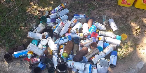 Wayside Park Pensacola Cleanup