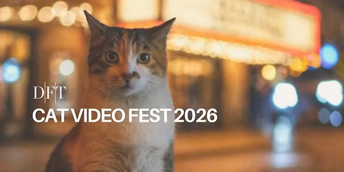 FILM: CAT VIDEO FEST 2026