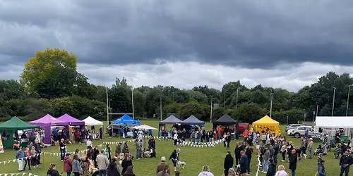 BB Dog Fest