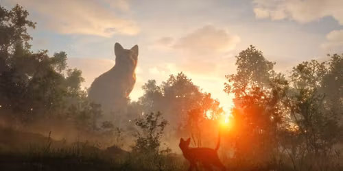 Natural Narratives #4 - Film Screening of Flow