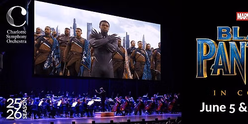 Black Panther in Concert