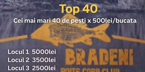 Top 40 Bradeni doar boiles si pop up