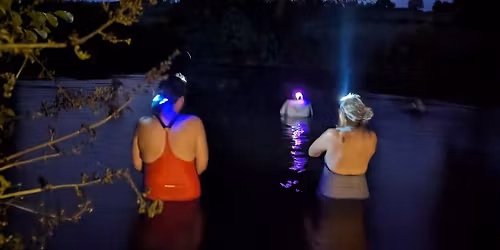The Glitter Path~a soulful group for night swims
