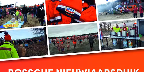 Bossche Nieuwjaarsduik 2027