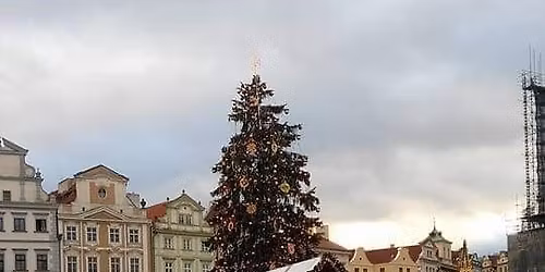 XXI. Vyj\u00ed\u017e\u010fka ke strome\u010dku na Starom\u011bstsk\u00e9m n\u00e1m\u011bst\u00ed