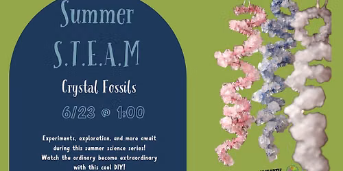 Summer STEAM: Crystal Fossils