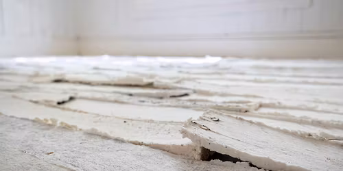 Material Memory: Pulp Casting with SR Lejeune