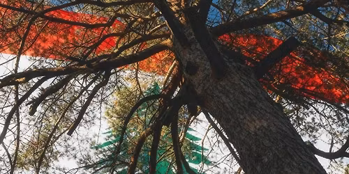 Christmas Party for Kids \u2013 Abou Jaoude Family