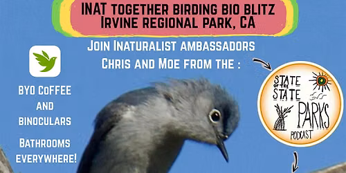 iNat Together-a Bird Bio-Blitz in Irvine Regional Park
