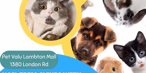 Nail Trim Clinic with Meg the groomer