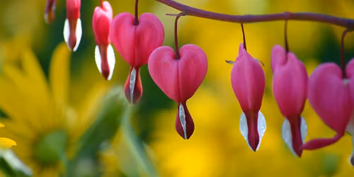 Pierwsze polipiwo tej wiosny!