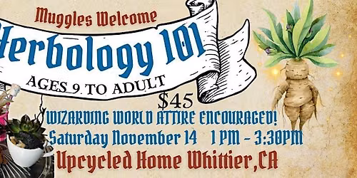 Herbology 101 Succulent Workshop