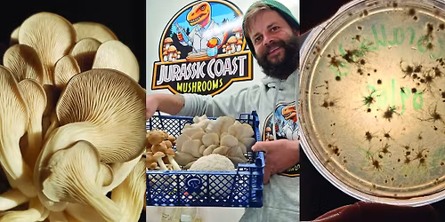 From spore to store: Hands-on mushroom growing workshop