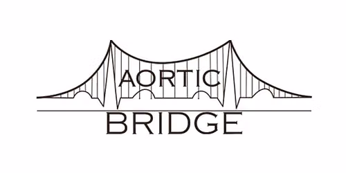 Aortic Bridge's Walk For Awareness Across the Brooklyn Bridge