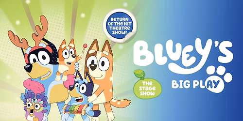 Bluey's Big Play