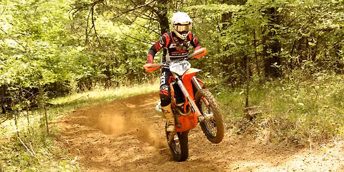 Miller Creek | SECCA