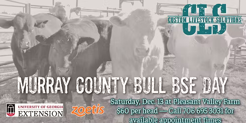 Murray County Bull BSE Day