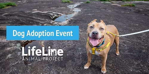 Alpharetta Moonlight Market Dog Adoption Event