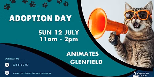 Kitten and Cat Adoption Day Animates Glenfield