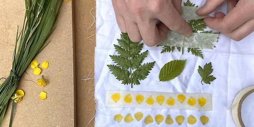 Flower Pounding Workshop (Tataki-zom\u00e9)