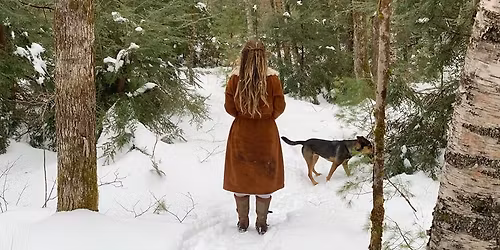 Winter Foraging Walk at Misty Meadows