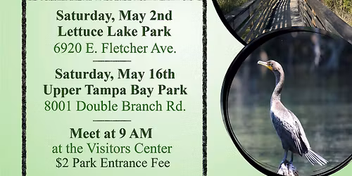 Guided Wetlands Walk