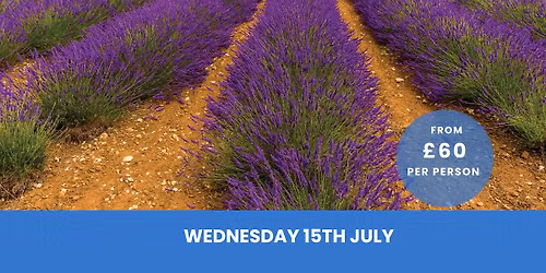 Lavender Fields Tour & Lunch inc. Coach Travel 