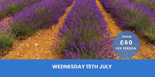 Lavender Fields Tour & Lunch inc. Coach Travel