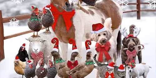 Blackberry Farm Christmas Fayre