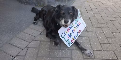 \u014ctautahi Non-Violent Protest Training Session