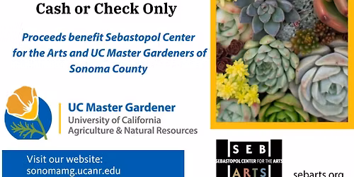 Succulents and Ceramics Garden Art Sale