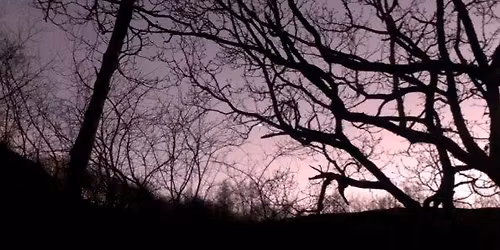 Winter Solstice New Moon - Deep Dreaming - Cacao Chakradance and Soundbath