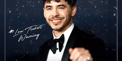 David Archuleta Holiday Show at Mary D'Angelo Performing Arts Center