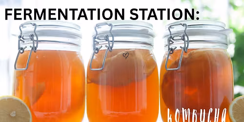 Fermentation Station: Kombucha