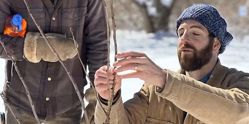 Tending Rock Point - Orchard Pruning