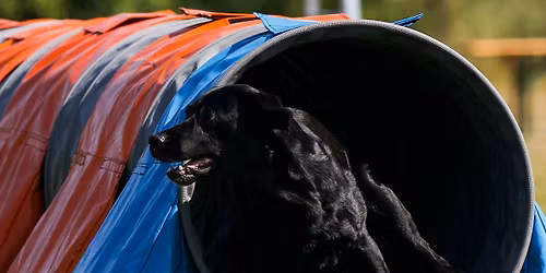 13. Agility Airport Cup