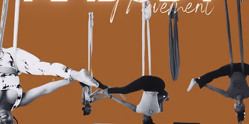 AM FLIGHT Aerial Yoga