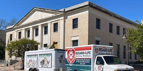 Regard4Life Animal Rescue's Jingle Bell Bake Sale with Friends!