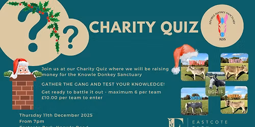 Christmas Charity Quiz