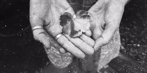 Fotosalong: Analogt milj\u00f8foto