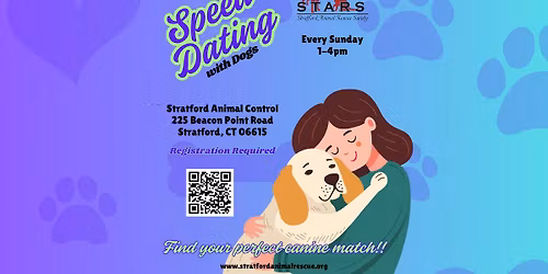 Speed Dating to Find Your Perfect Doggie Match